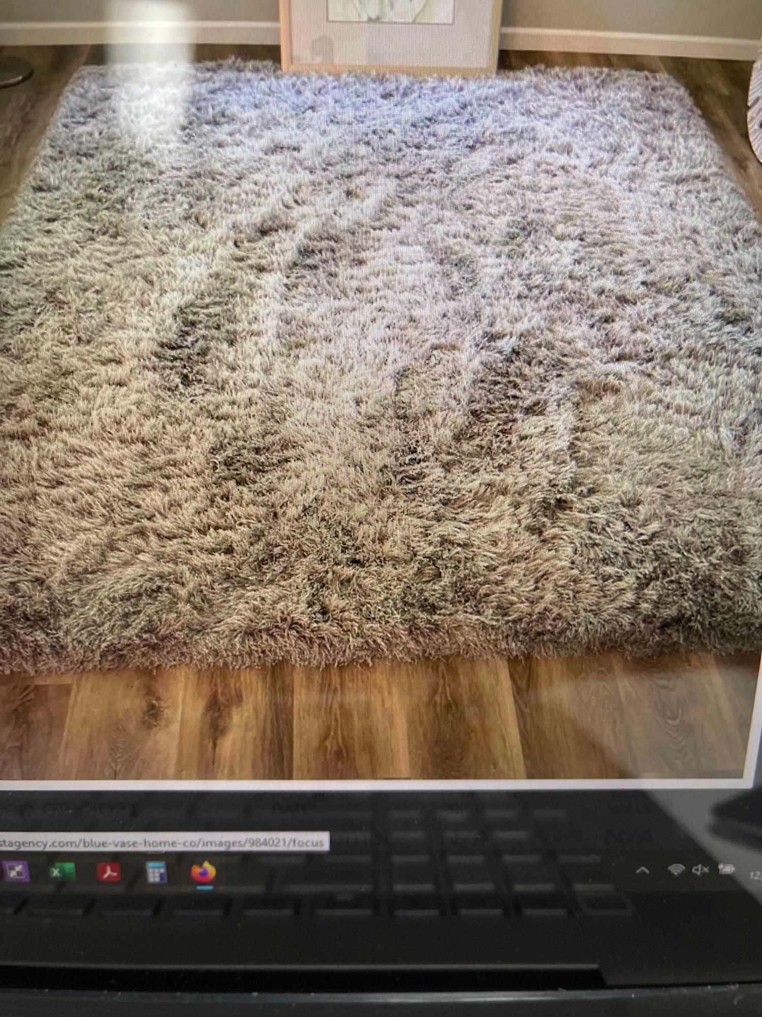 Silver Rug, Dalyn. 8x10 (1 of 2)