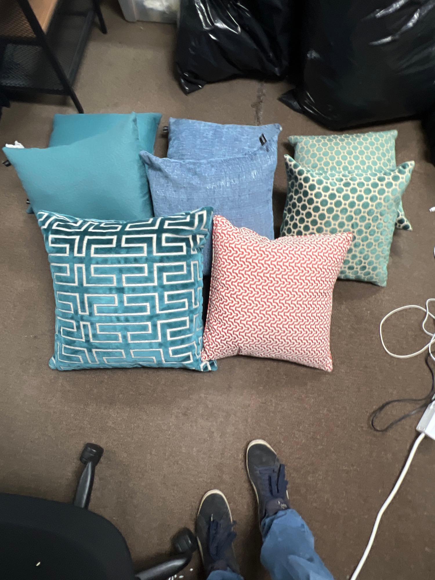Lot Of Colorful Throw Pillows: Lot Of Colorful Throw Pillows This will be a two (2) day sale Wed & Thr Jan 18th & 19th. Online only. Online only.All items sold as is where is. There are No guarantees to functionality, condition, or