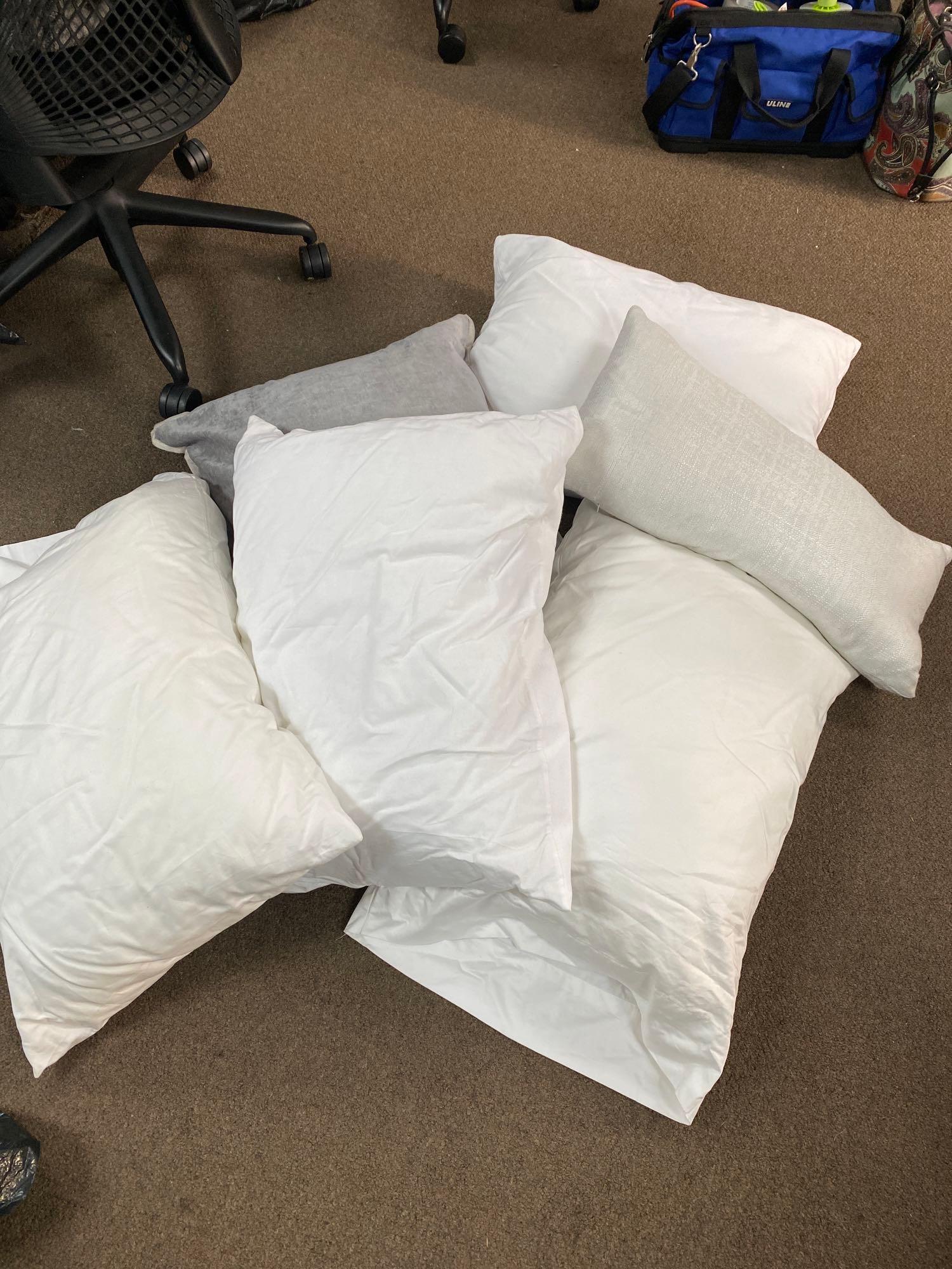 6 Bed Pillows & Throw Pillows (1 of 3)