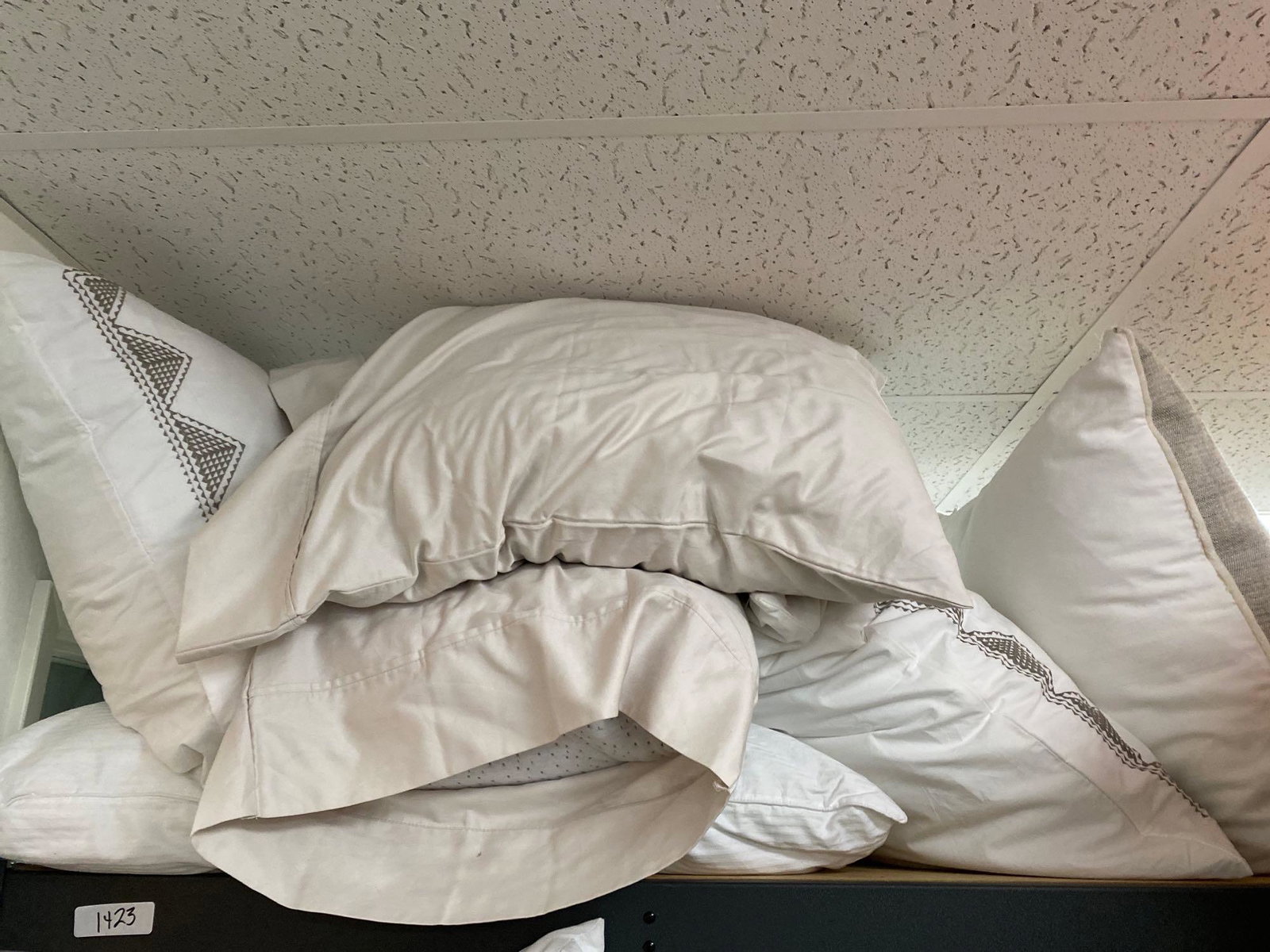 Lot Bedroom Pillows, Pillow Covers: lot bedroom pillows, pillow covers This will be a two (2) day sale Wed & Thr Jan 18th & 19th. Online only. Online only.All items sold as is where is. There are No guarantees to functionality, conditio