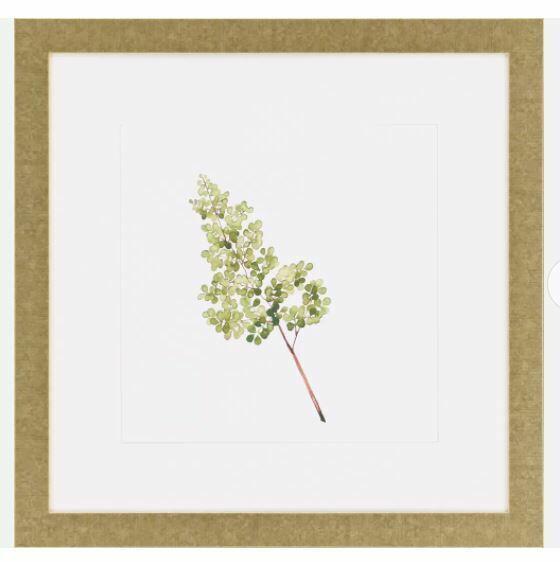 Watercolor Leaf Study Iii (1 of 2)