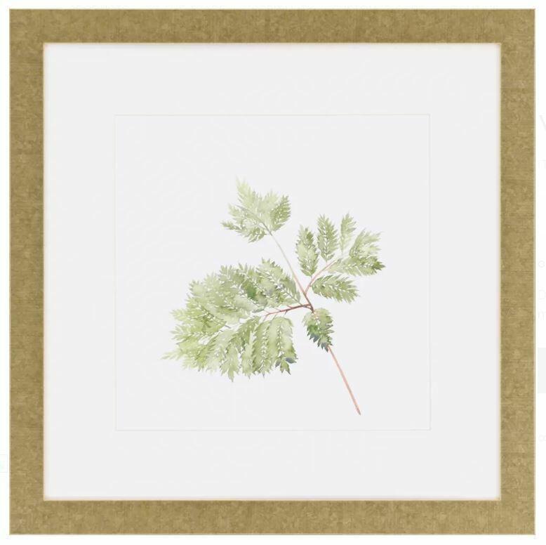 Watercolor Leaf Study Ii (1 of 2)