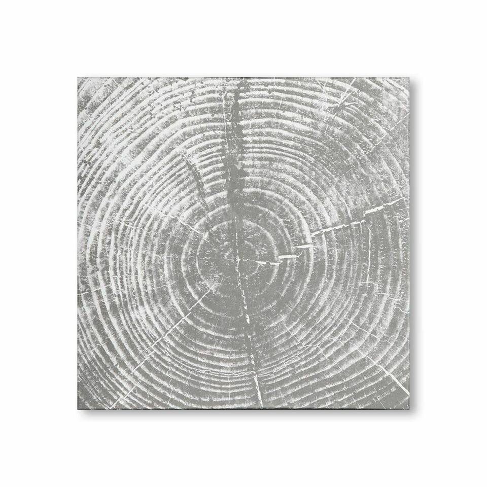 Grey & White Tree Ring Wall Art: grey & white tree ring wall art. Approximately30L x 30W x 1.5D in This will be a two (2) day sale Wed & Thr Jan 18th & 19th. Online only. Online only.All items sold as is where is. There are No guaran