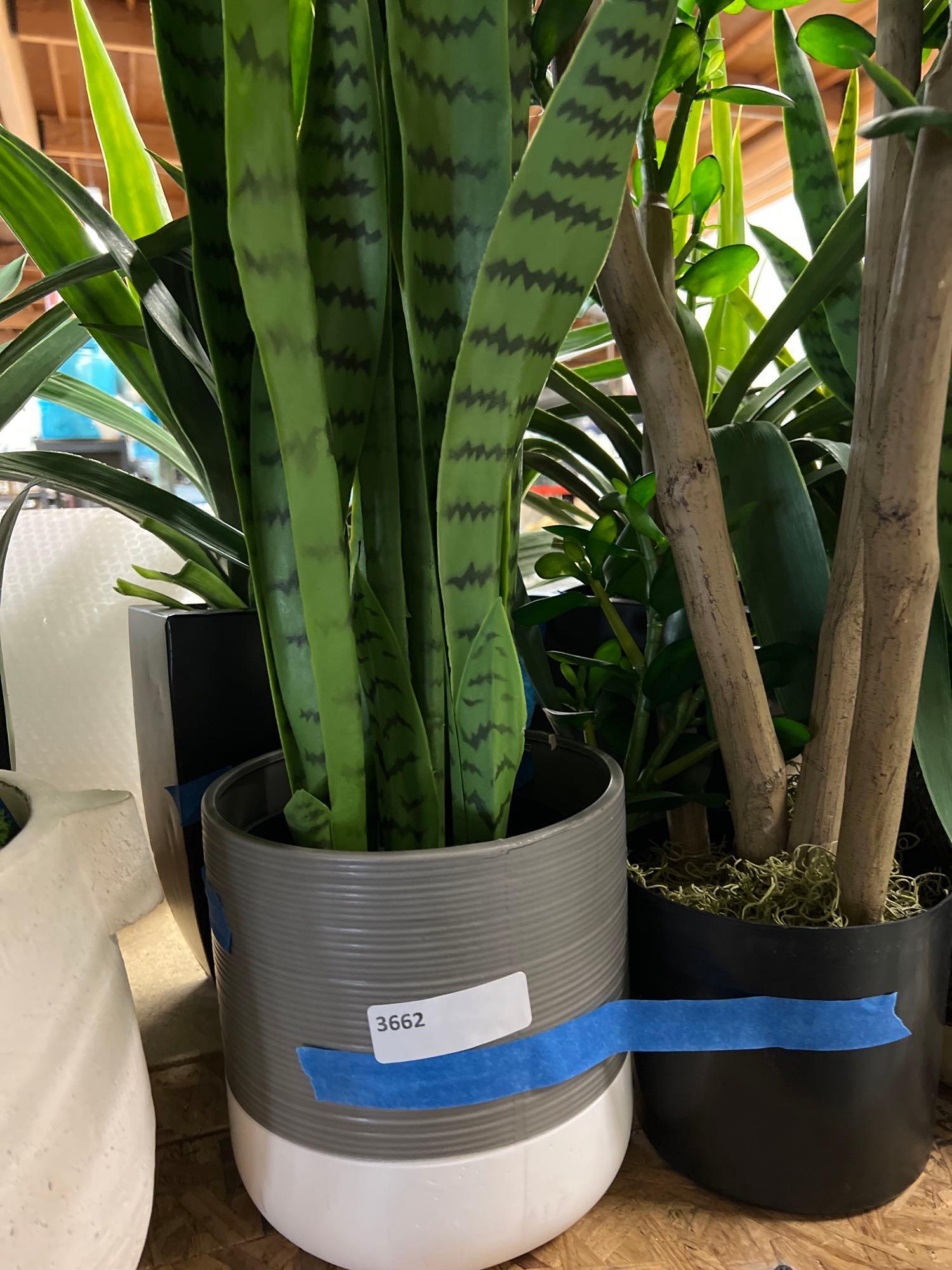 Lot 4 Large Faux House Plants With Planters (1 of 1)