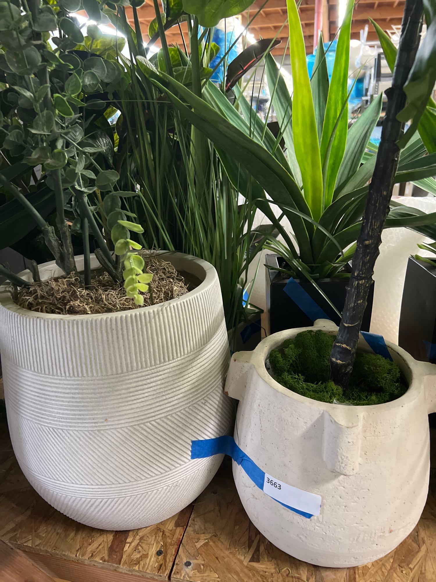 Lot 6 Faux House Plants With Planters (1 of 1)