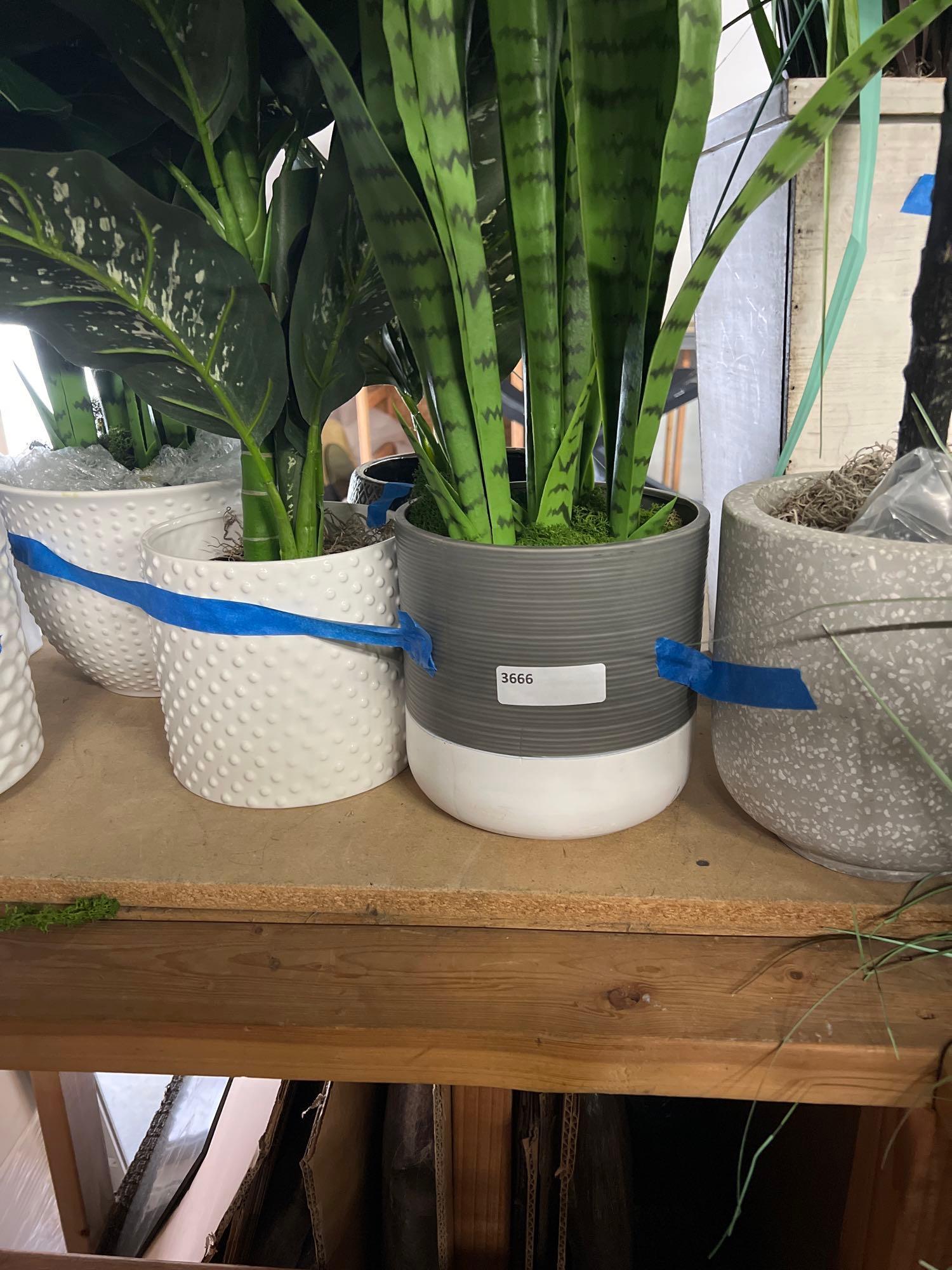 Lot 5 Faux House Plants With Planters (1 of 1)