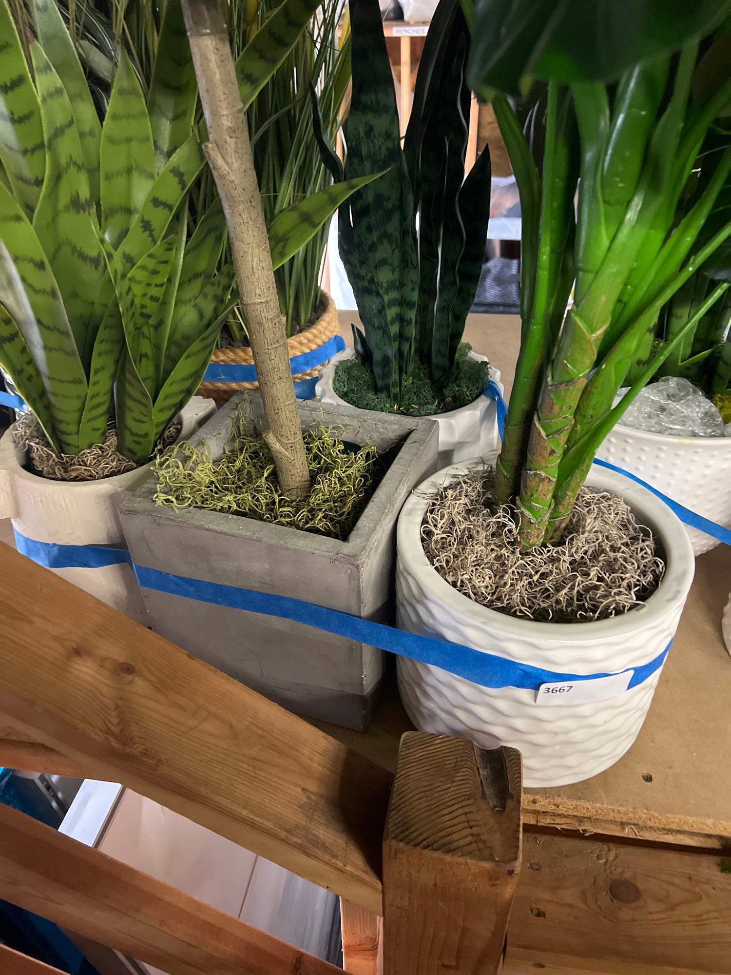 Lot 4 Faux House Plants With Planters (1 of 1)