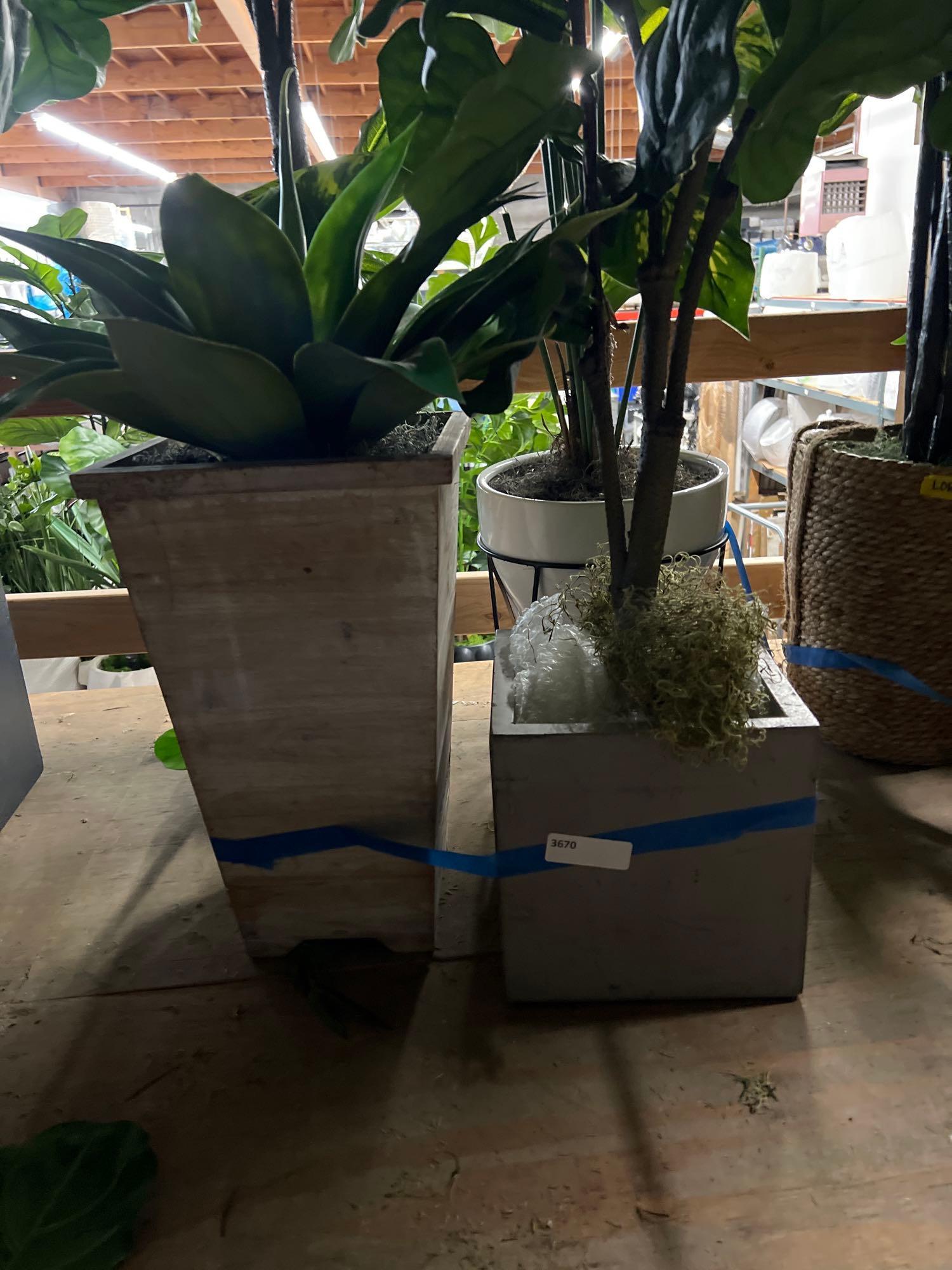 Lot 4 Large Faux House Plants With Planters (1 of 1)