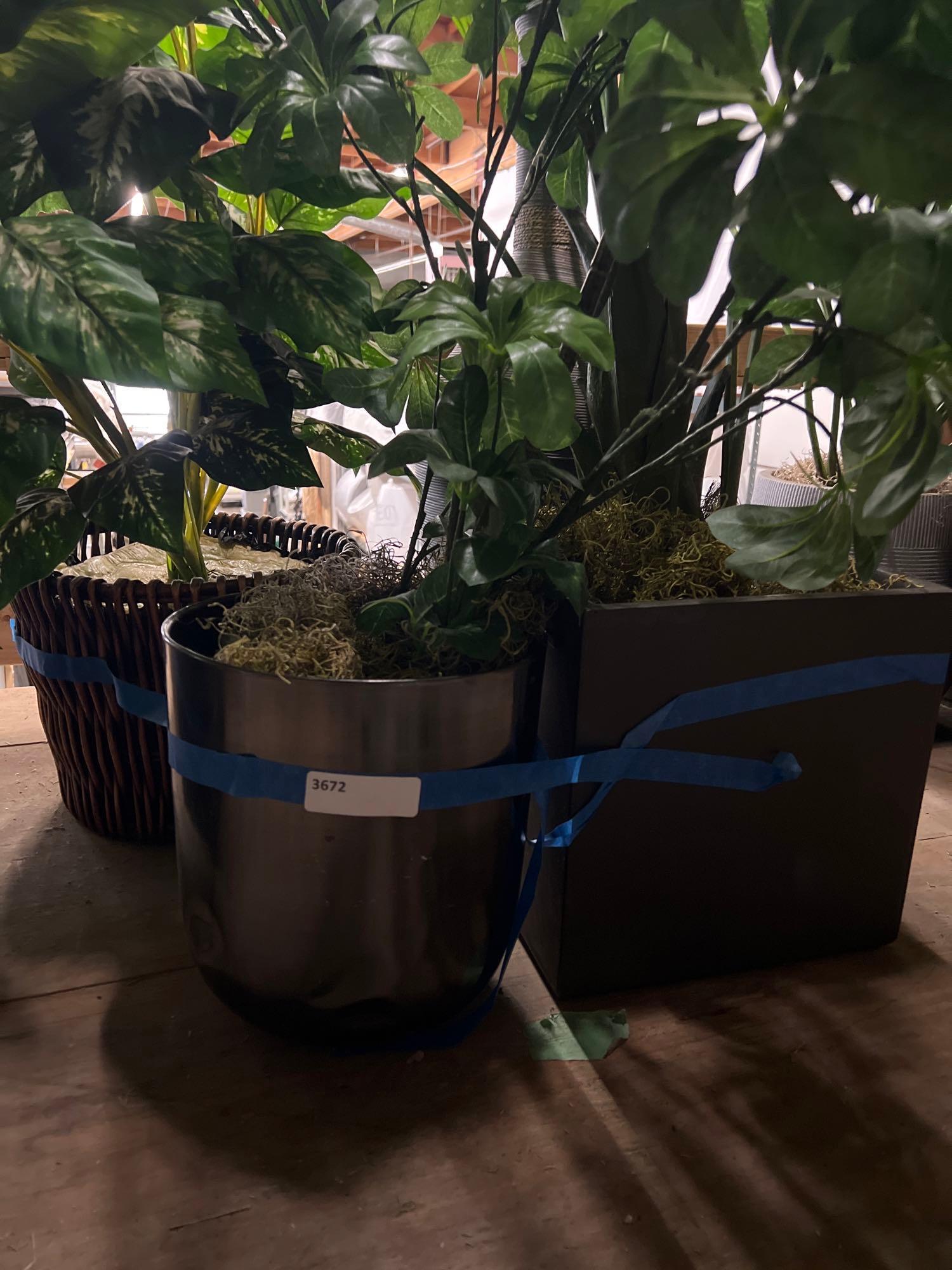 Lot 4 Large Faux House Plants With Planters (1 of 1)