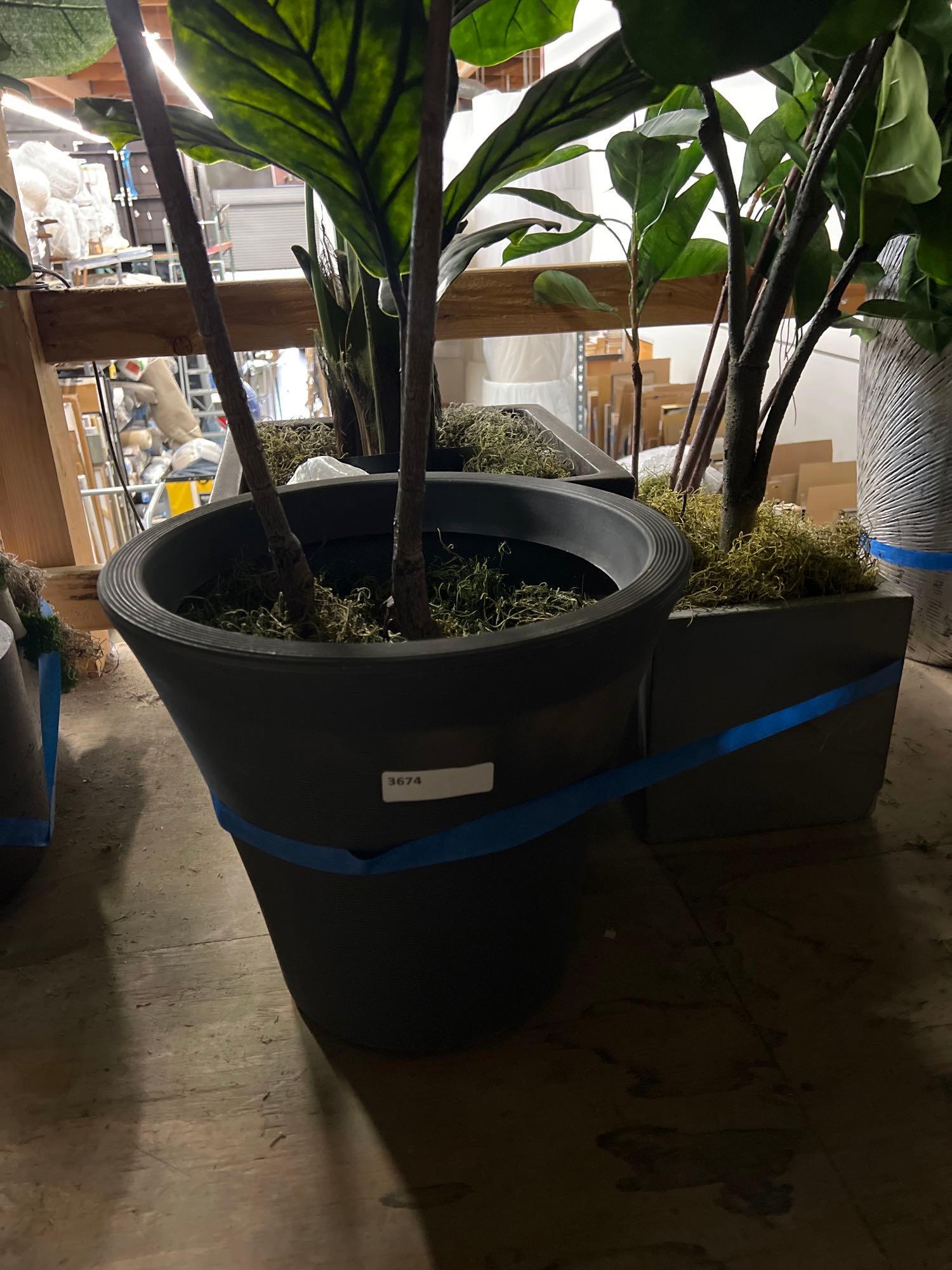 Lot 4 Large Faux House Plants With Planters (1 of 1)