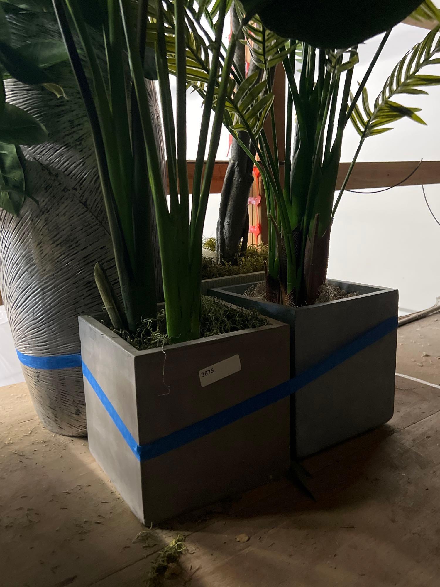 Lot 4 Large Faux House Plants With Planters (1 of 1)