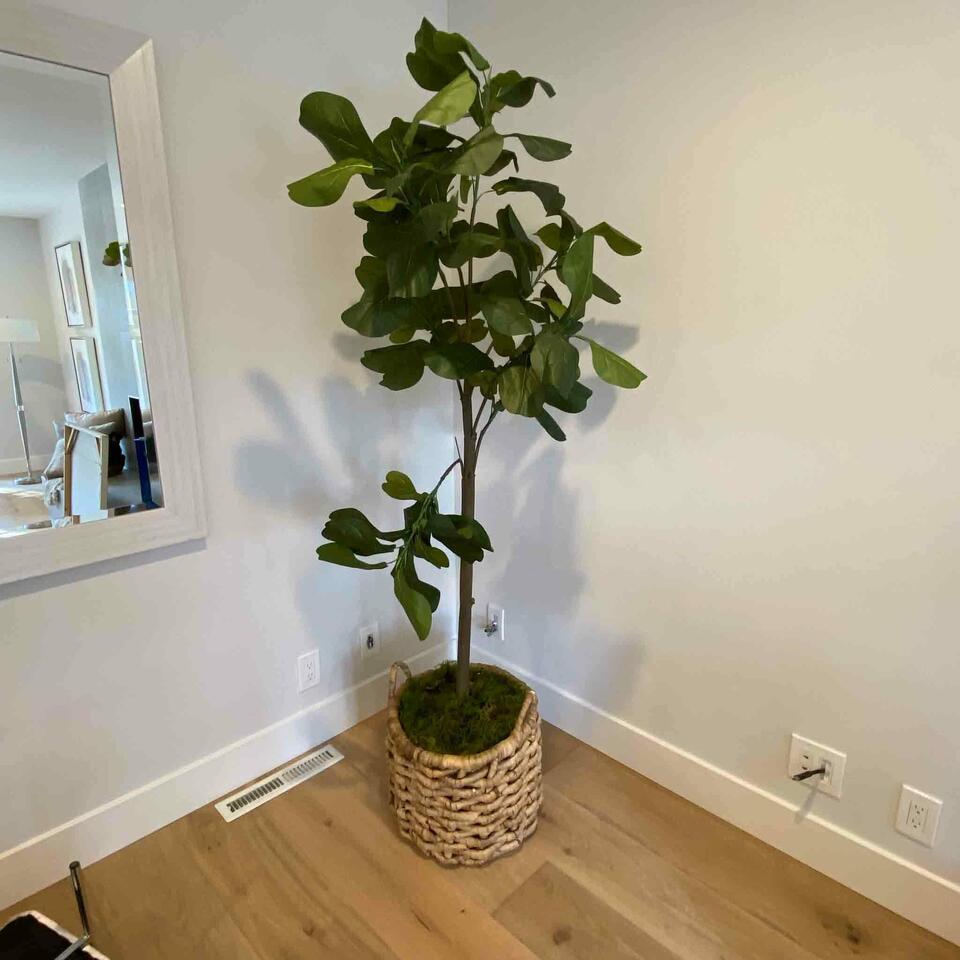 3 Tall Faux Plants (1 of 3)