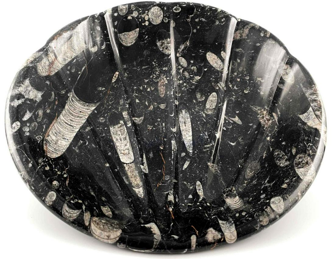 Large Carved Orthoceras Fossil Bowl (1 of 17)