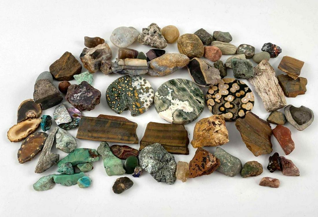 Collection Of Geological Specimens, Including Turquoise, Agate, Petrified Wood, And More (1 of 19)