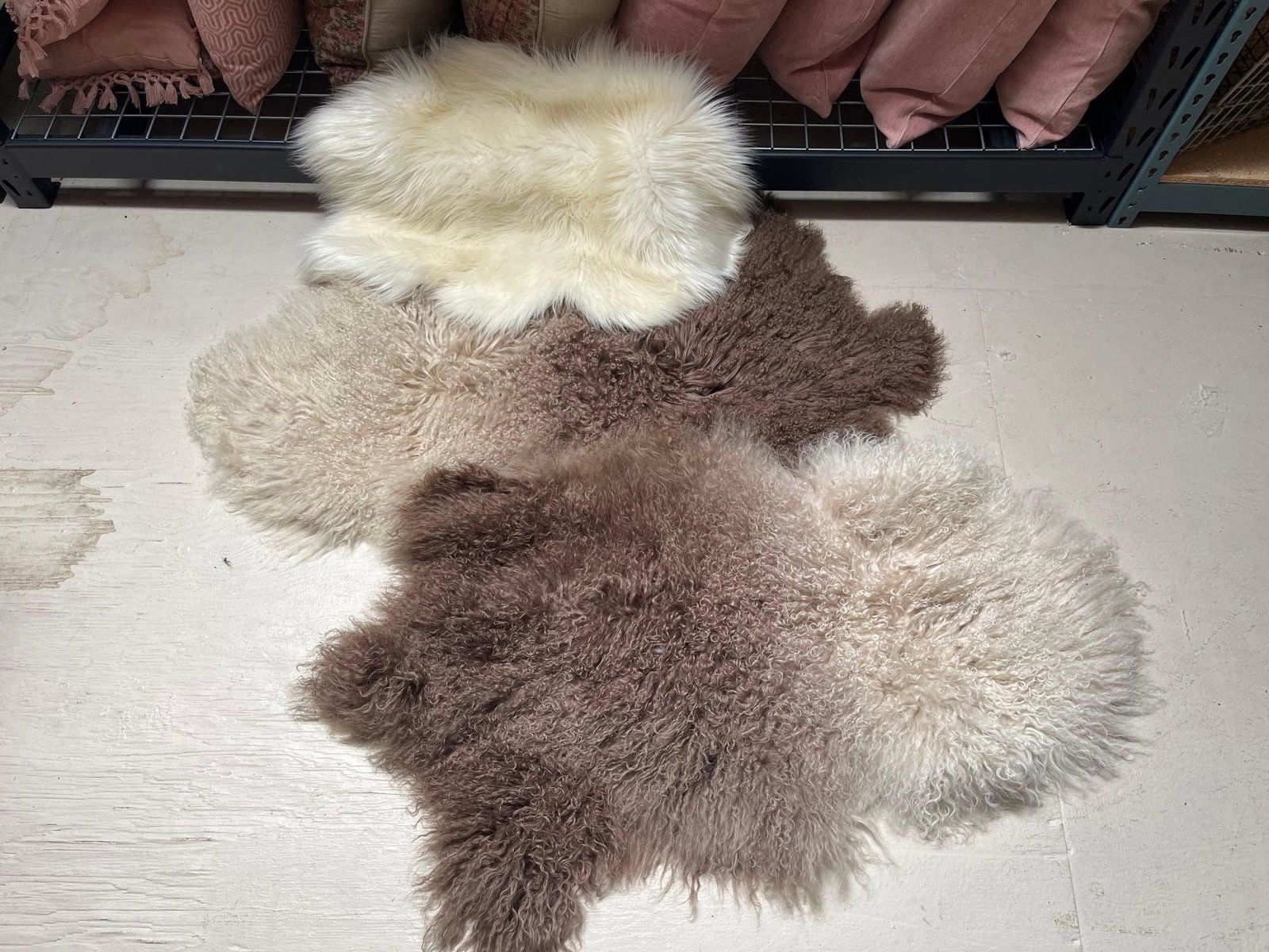 No Shipping 3 Mongolian Sheep Skin Throws: LOCAL PICK UP ONLY, WESTSIDE SANTA CRUZ, 95060 LOCAL PICK UP ONLY, WESTSIDE SANTA CRUZ, NO SHIPPING, 3 Mongolian Sheep Skin Throws NO SHIPPING AVAILABLE All items sold as is where is. There are No gua