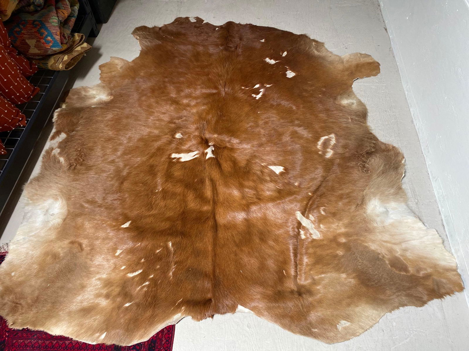 No Shipping  Tan Cowhide Rug (1 of 3)