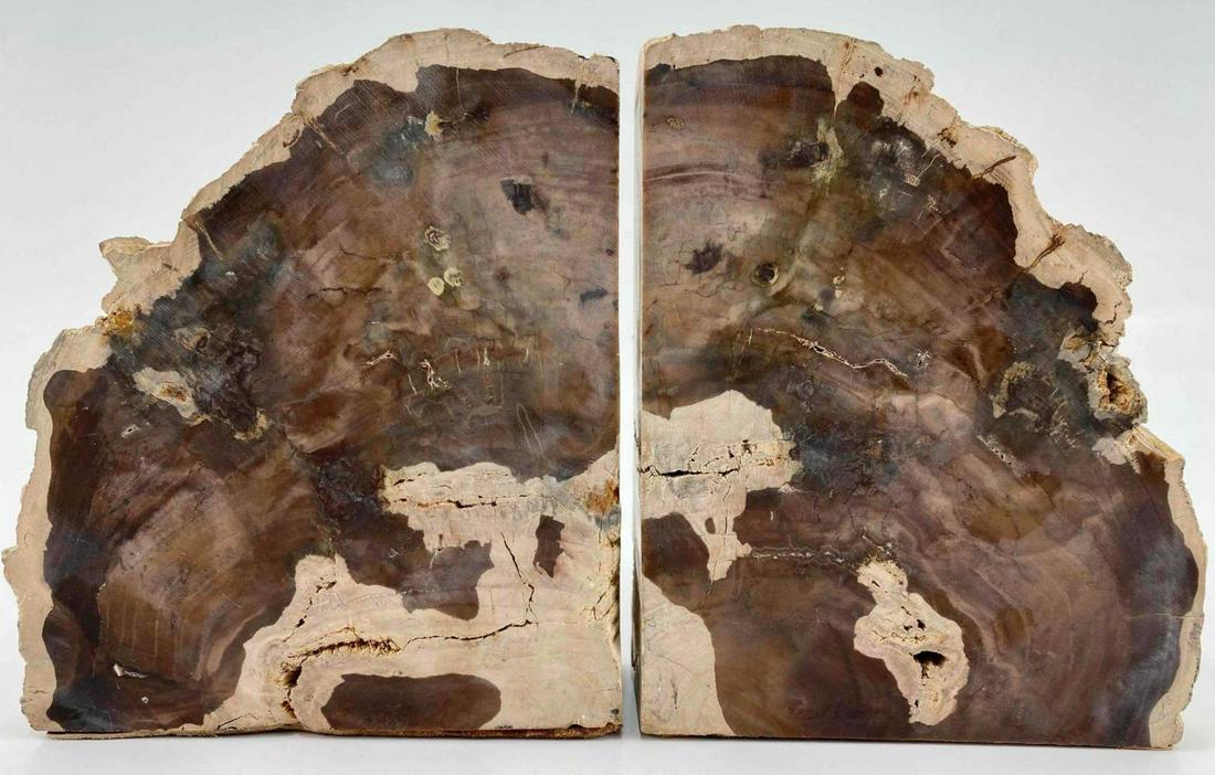 Pair Of Petrified Wood Bookends (1 of 9)
