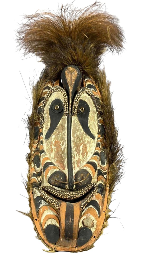 Papua New Guinea Cassowary Feather Shield (1 of 18)