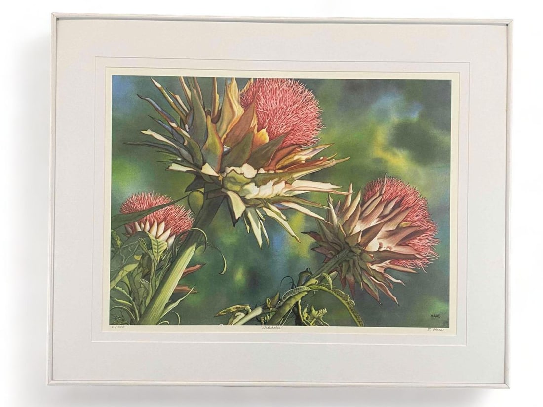 Edwin Haas, Artichokes, Signed Lithograph (1 of 12)