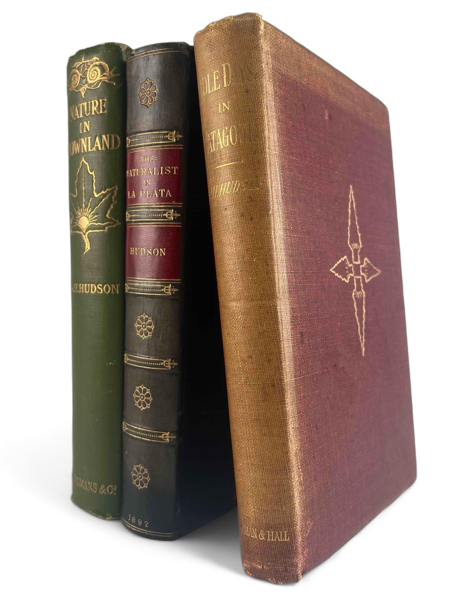Three William Henry Hudson Naturalist Books, Including Idle Days In Patagonia (1893) (1 of 16)