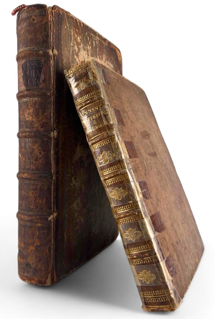 History of the Parishes of Whiteford and Holywell (1796) & The Professors of Gresham College (1740) (1 of 16)