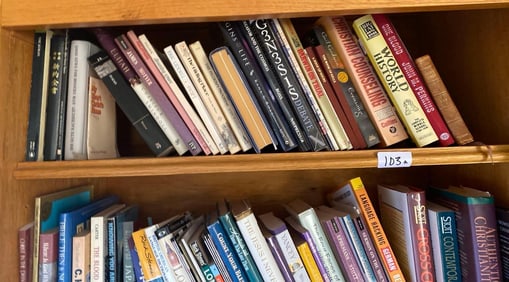 Two Shelves Of Books