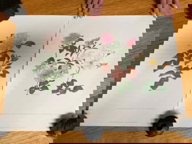 Two Kristin Jakob Signed Prints Of Garden Roses