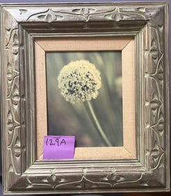 Mid Century Framed Allium Bloom Photo Print Signed “V Dick.”