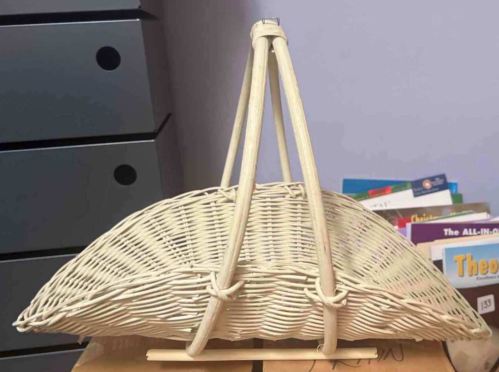 White Wicker Flower Basket (1 of 2)