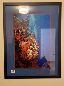 Coral Reef Photo Print