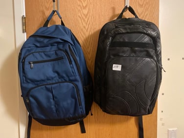 Two Gently Used Backpacks, Hurley & Rick Steves