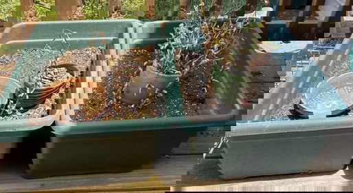 Two Green Plastic Tubs With Additional Pots