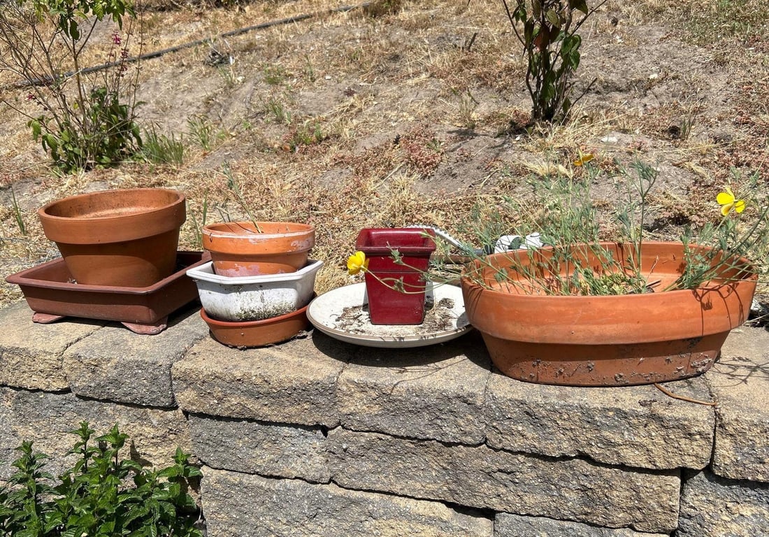 Grouping Of Terra Cotta And Ceramic Pots (1 of 3)