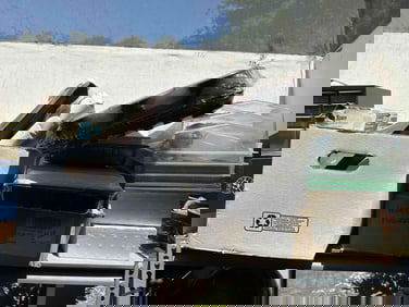 Seed Starting Equipment, Decorative Metal Garden Hose Guides