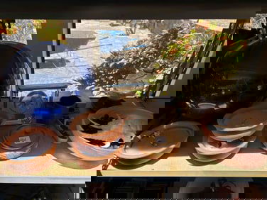 Garden Orb, Flower Frogs, Seashells, Clock, Candles, And More