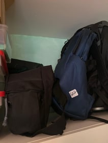 Pacsafe Travel Backpack