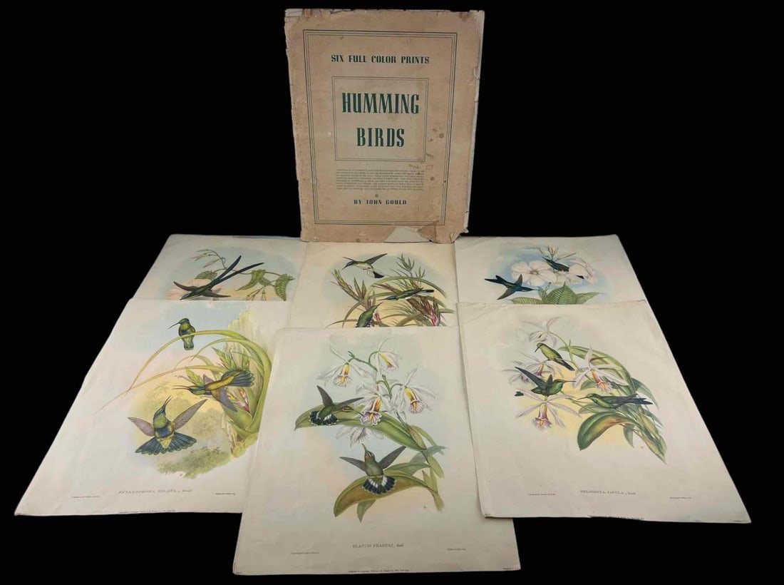 John Gould, Humming Birds, Six Full Color Prints, 1946 (1 of 19)