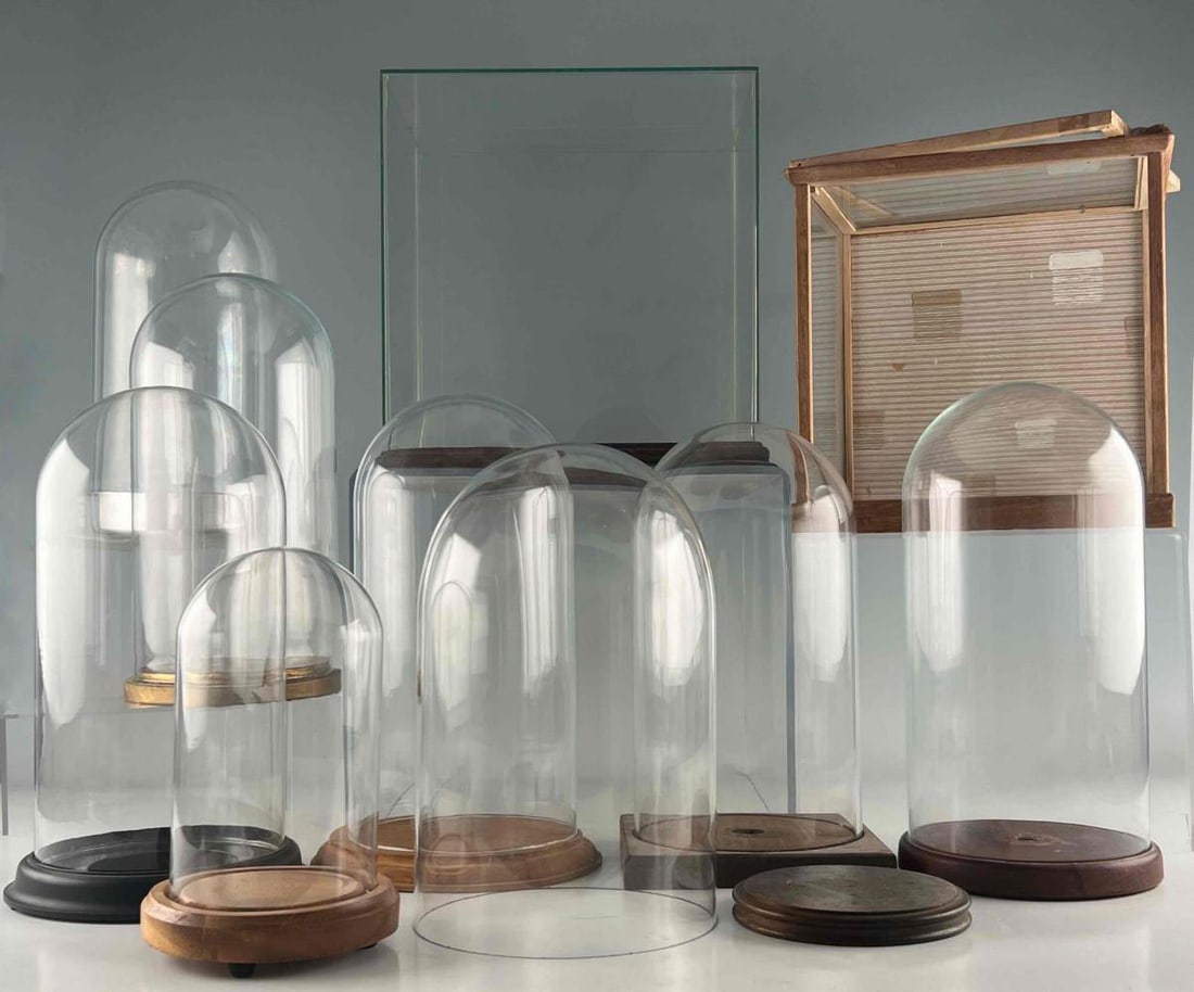 Lot Of Glass Domes & Display Cases (1 of 19)
