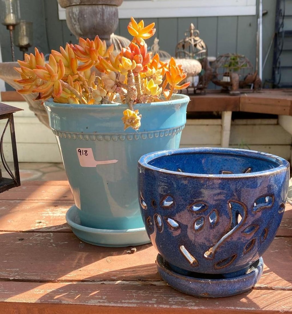 Two Blue Ceramic Pots, One With Succulent (1 of 1)