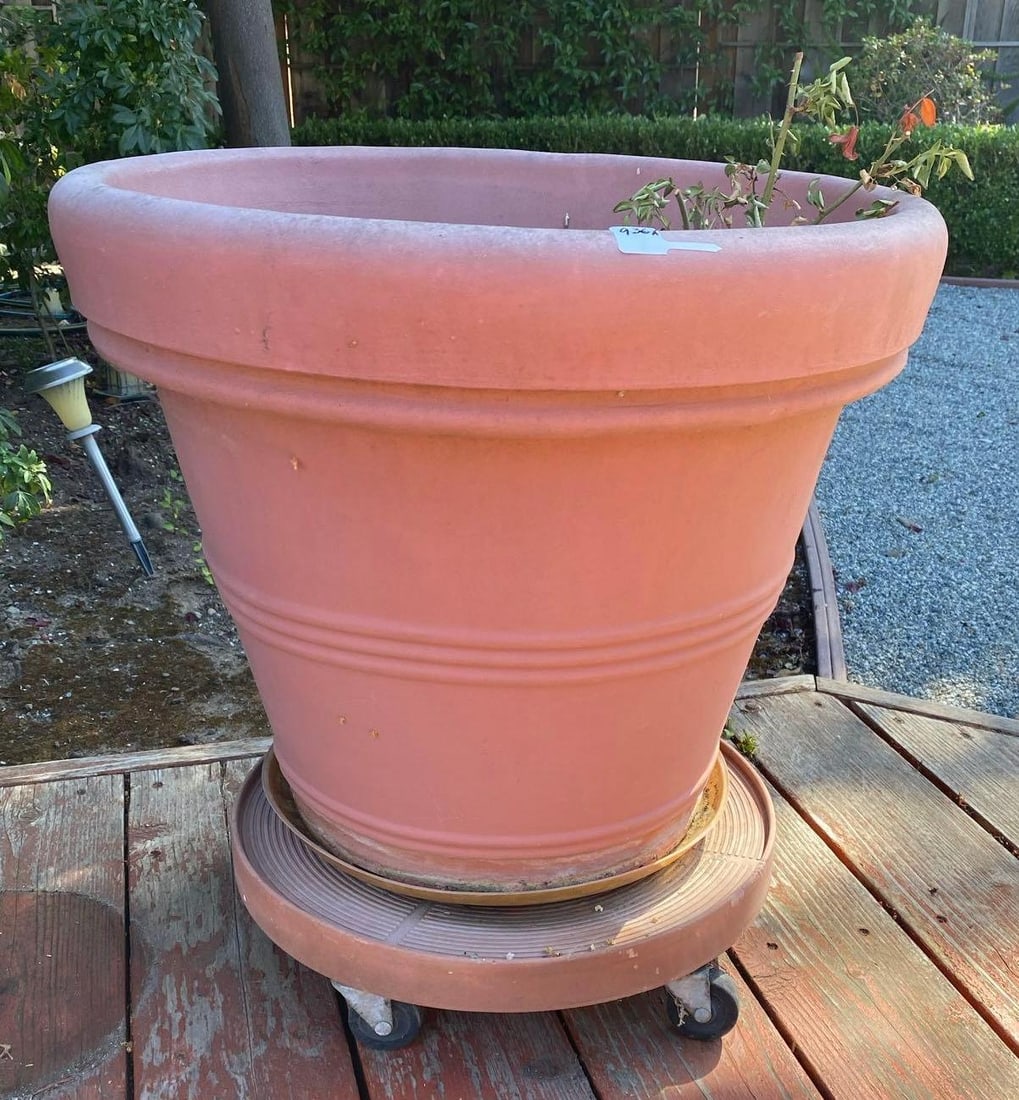Large Plastic Planter Pot With Plant Caddy (1 of 2)