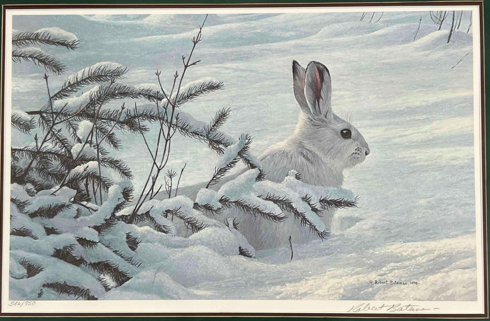 Robert Batemen (Canadian, b.1930) Winter Snowshoe Hare, Signed Lithograph (1 of 12)