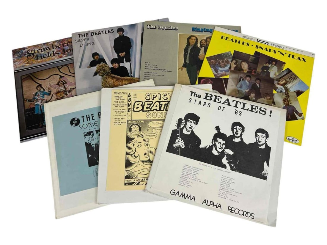 The Beatles, Eight Vinyl LP Records (1 of 10)