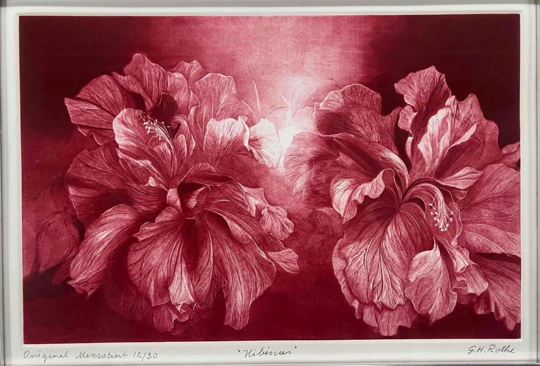 G.H. Rothe (1935-2007), Hibiscus, Signed Mezzotint (1 of 15)