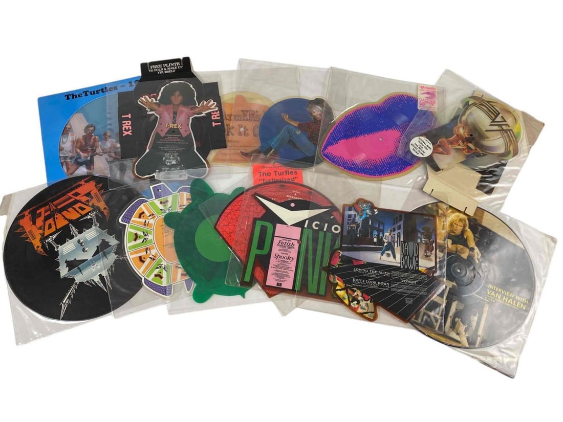 Thirteen Vinyl Picture Disc Records, Including David Bowie (1 of 18)