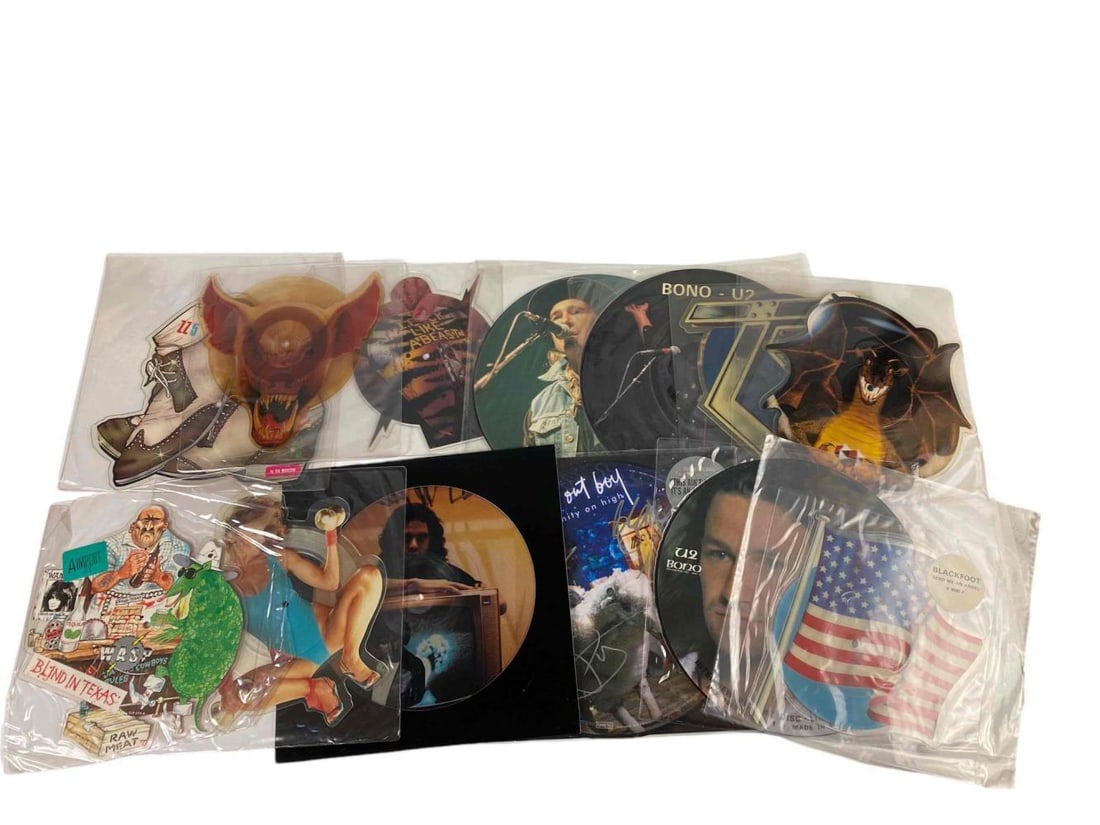 Thirteen Vinyl Picture Disc Records (1 of 17)