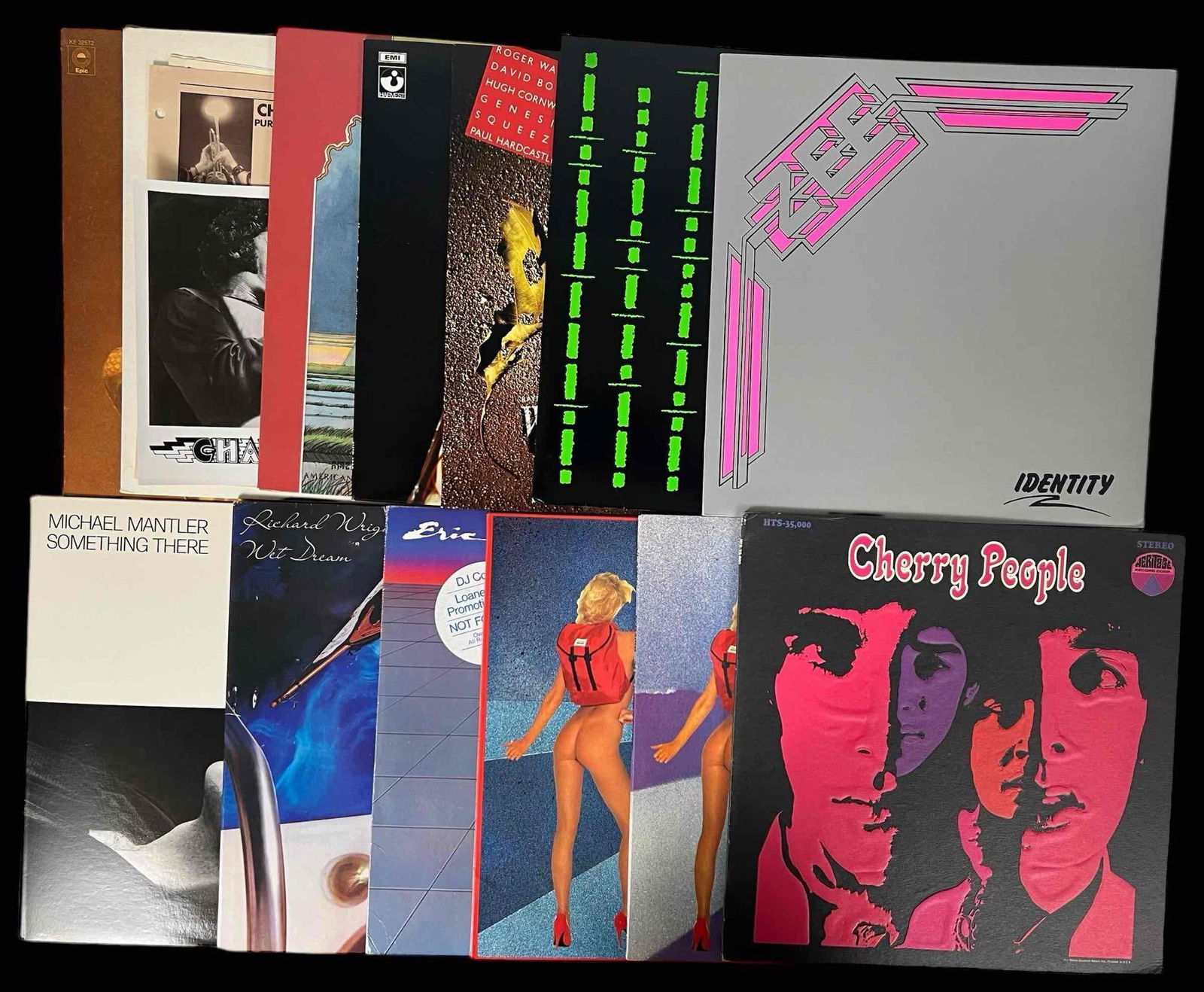 13 Vinyl Albums, Including Roger Waters (1 of 15)