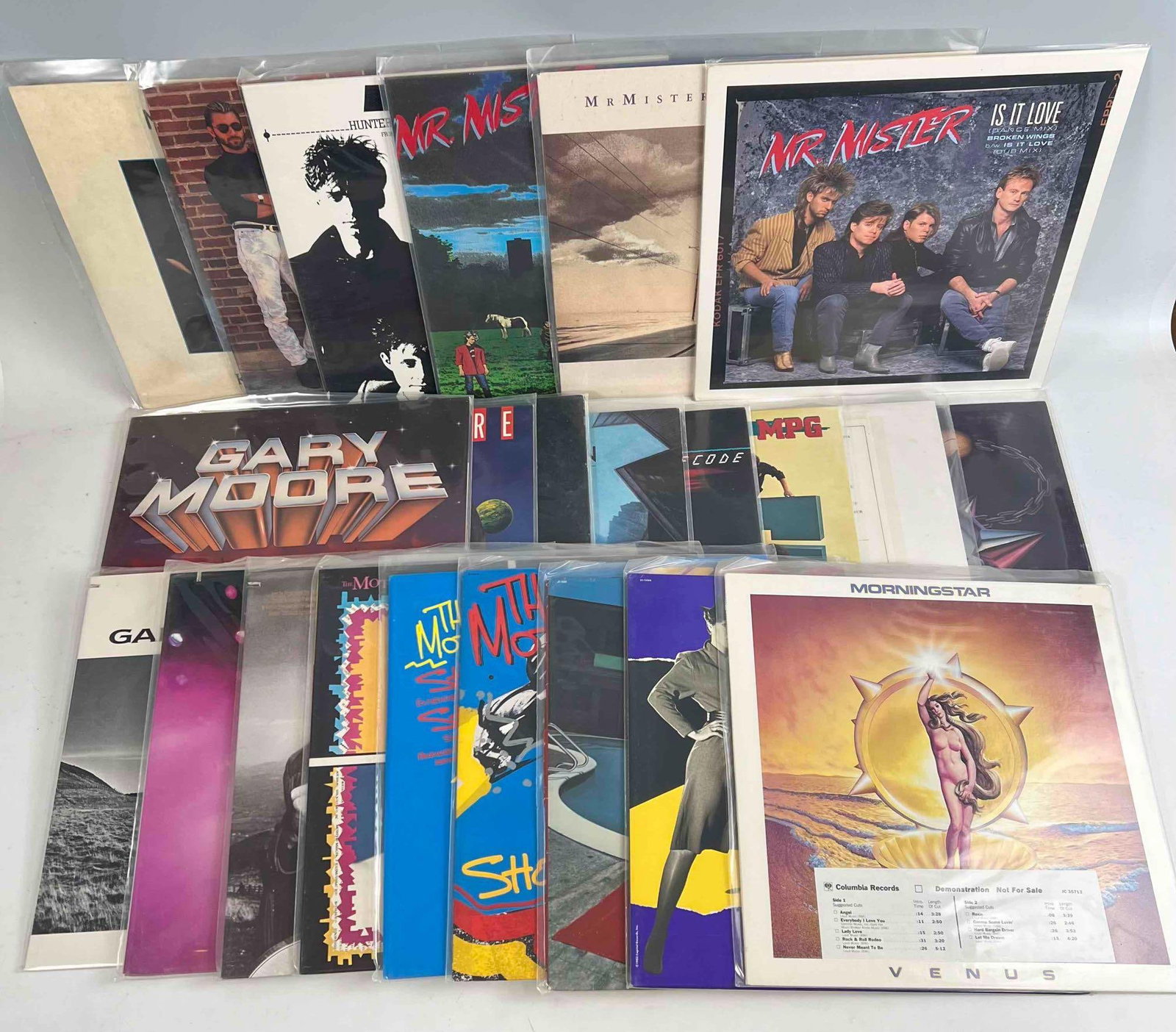 Vinyl Records, including Mr. Mister, Mountain, MPG, Vinnie Moore, Morningstar, The Motels: Vinyl Records, including Mr. Mister, Mountain, MPG, Vinnie Moore, Morningstar, The Motels, Patrick Moraz, and Gary Moore.