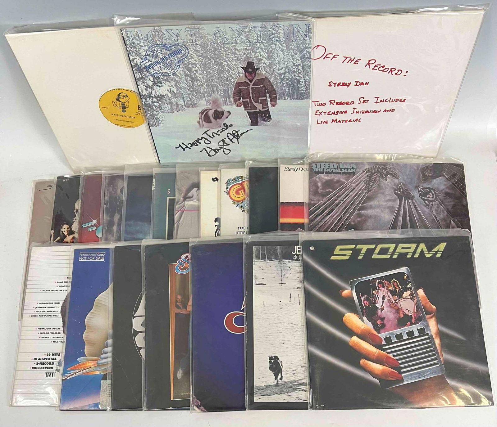 Lot Of Vinyl Records Including The Strawberry Alarm Clock, Steely Dan, Straight Lines, The Storm (1 of 5)