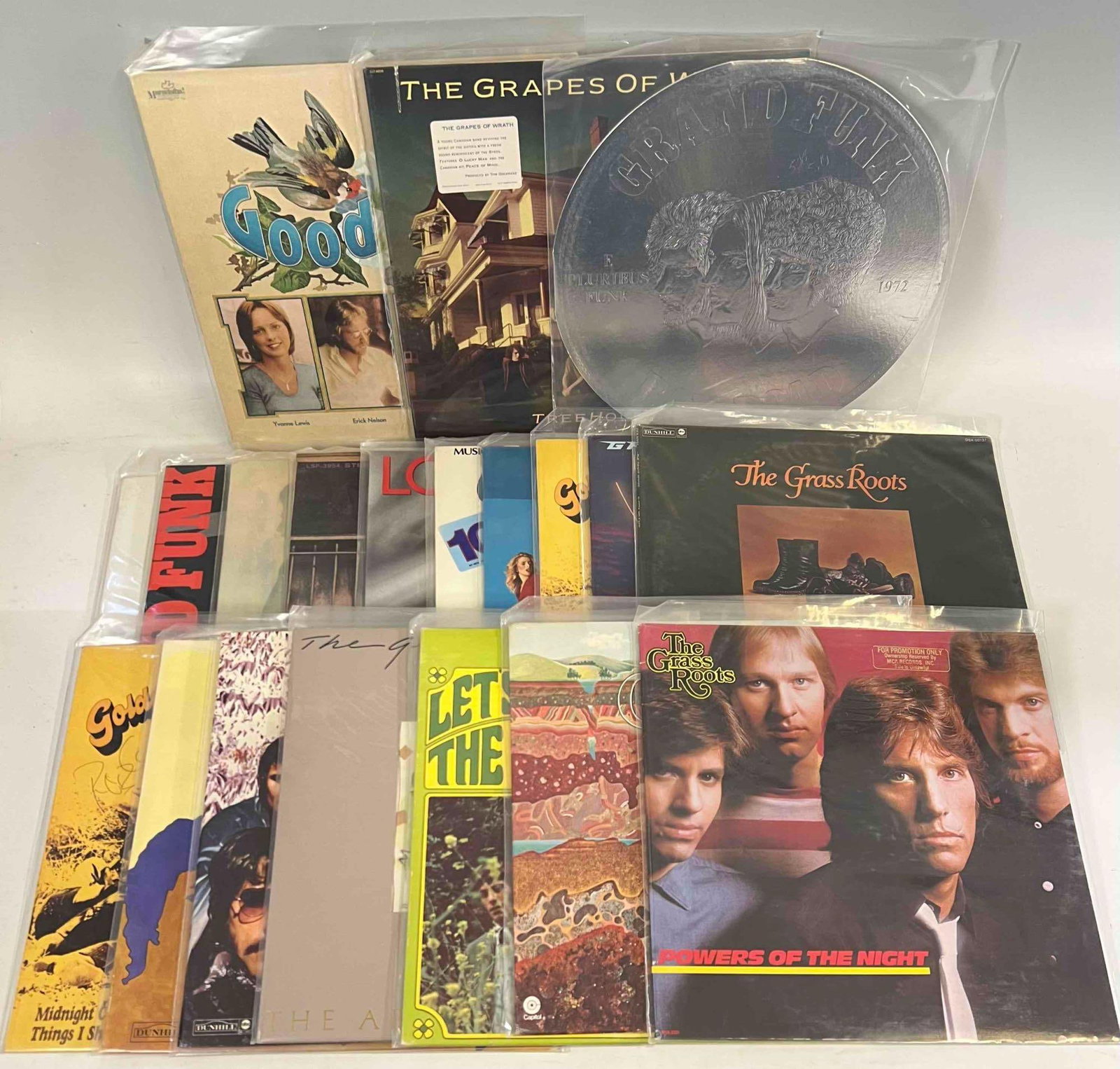 Lot Of Vinyl Records Including The Grass Roots, Good News, Lou Gramm, Barry Goudreau: Lot Of Vinyl Records Including The Grass Roots, Good News, Lou Gramm, Barry Goudreau, Graham Gouldman, Grand Funk, and more.
