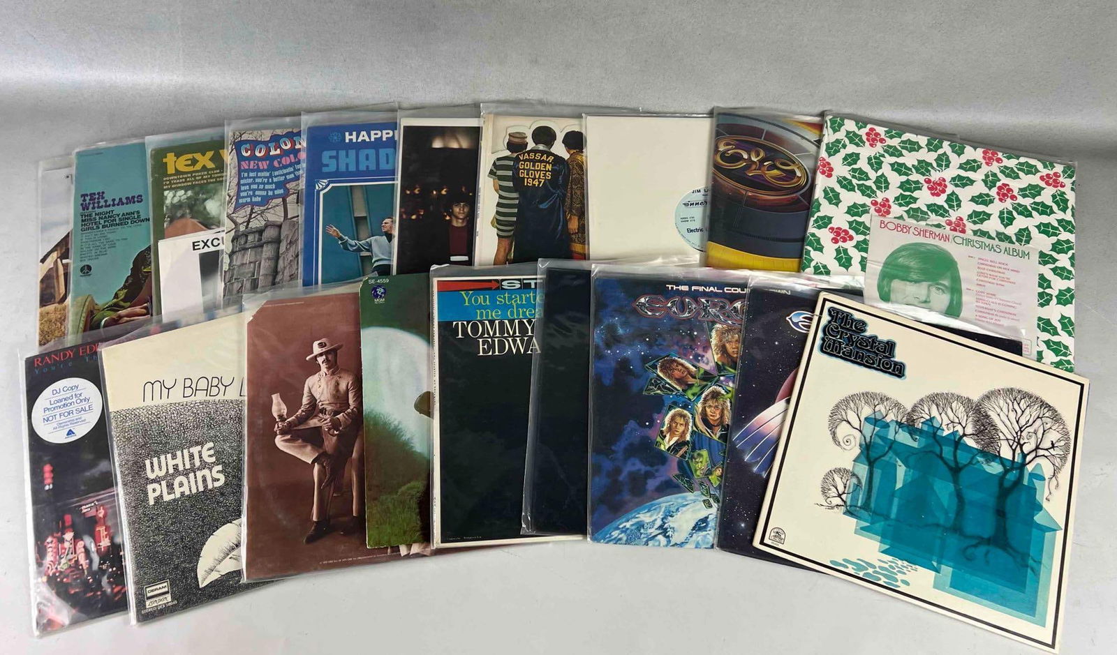 Lot Of Vinyl Records Including Electric Light Orchestra, Luke The Drifter, The Buckinghams (1 of 9)